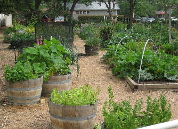 Eastside Cafe Austin