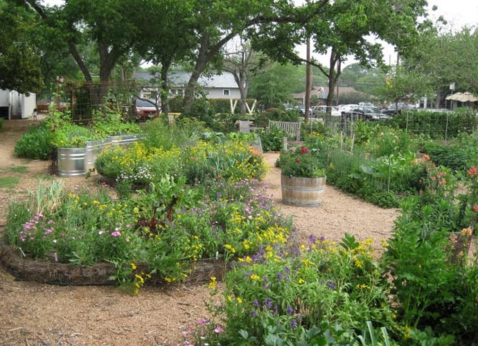 Eastside Cafe Austin