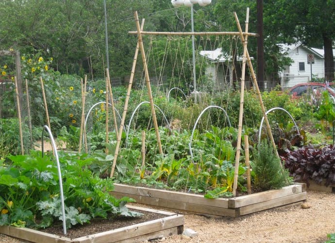 Eastside Cafe Austin