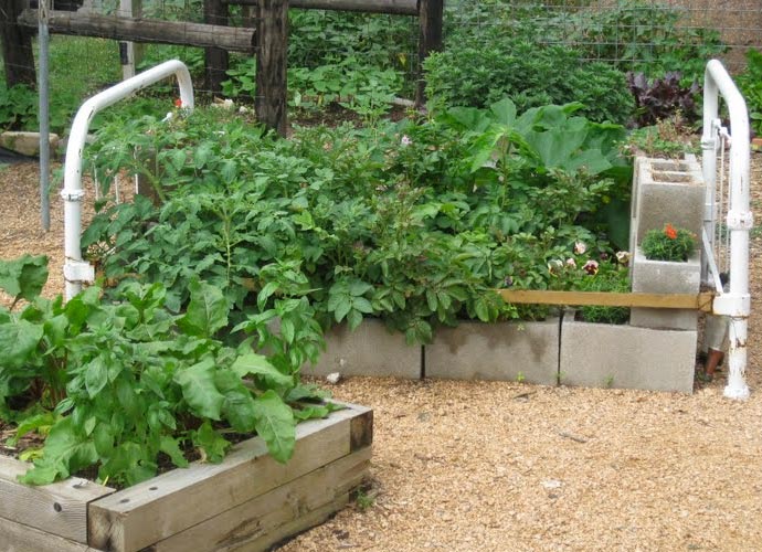 Eastside Cafe Austin