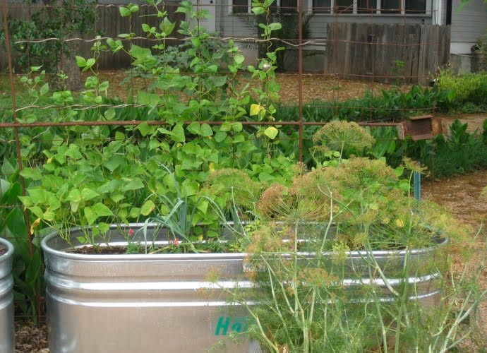 Eastside Cafe Austin