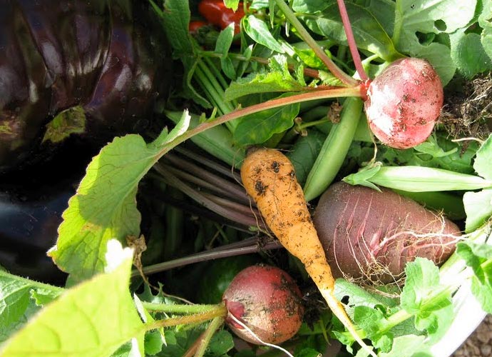 Eastside Cafe Austin