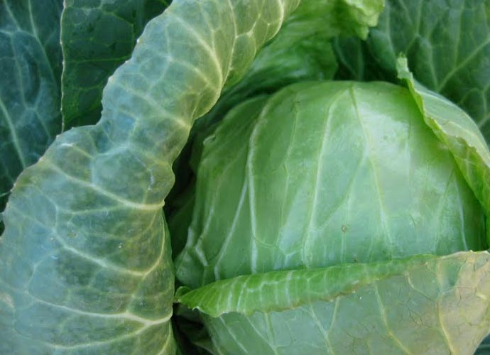 Eastside Cafe Austin