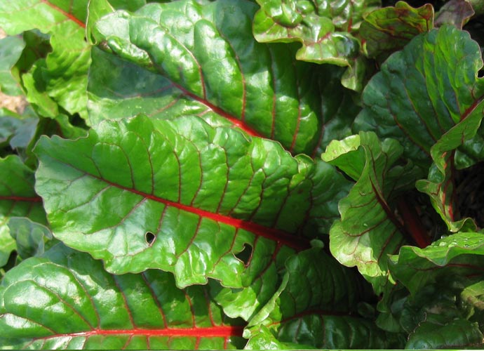 Eastside Cafe Austin