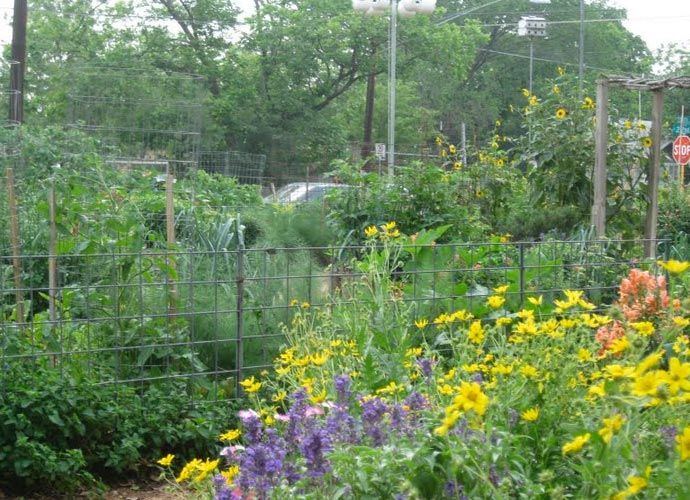 Eastside Cafe Austin