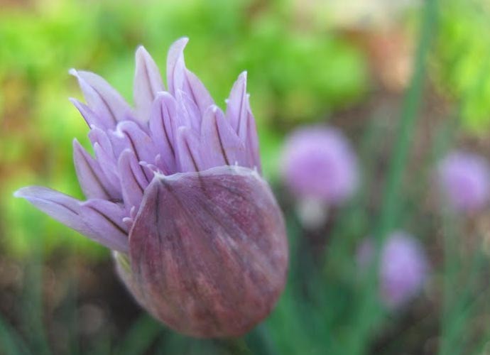 Eastside Cafe Austin