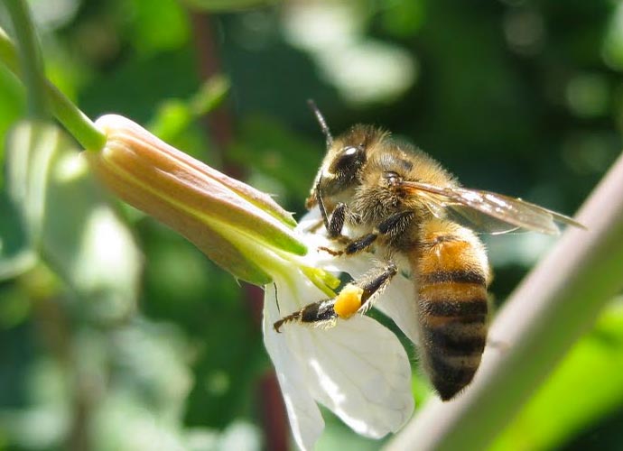 Eastside Cafe Austin