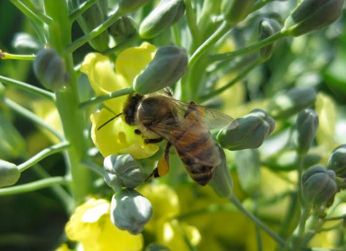 Eastside Cafe Austin