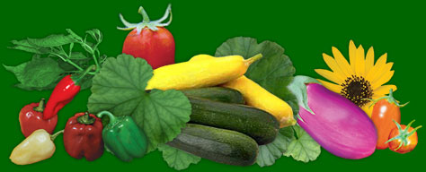 Eastside Cafe Healthy Cooking