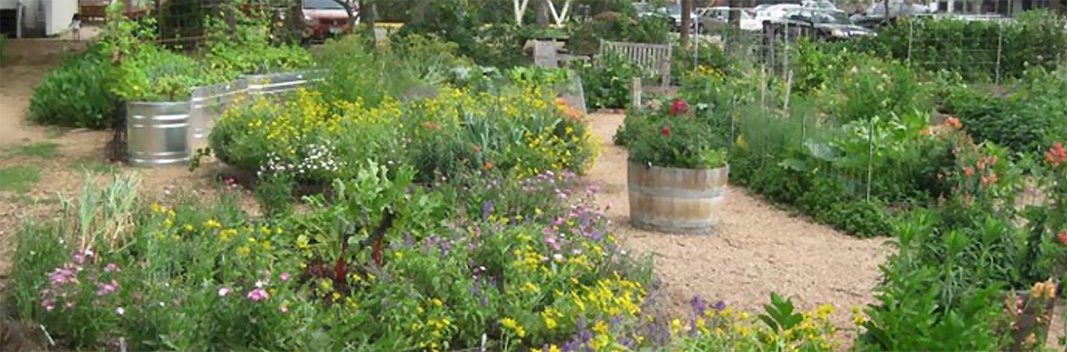 View of the garden behind Eastside Cafe